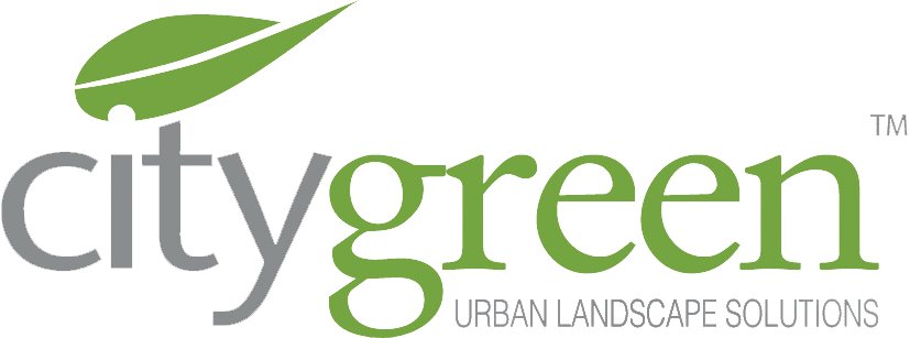 City Green